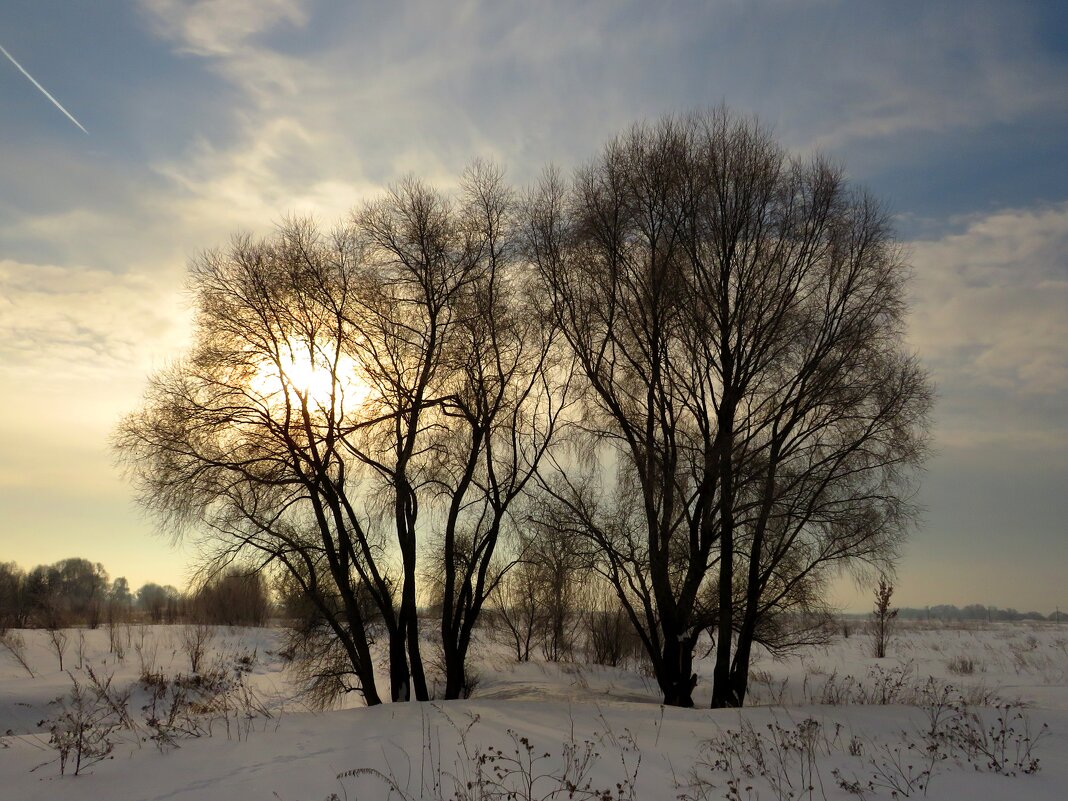 Зимнее солнце - Андрей Снегерёв
