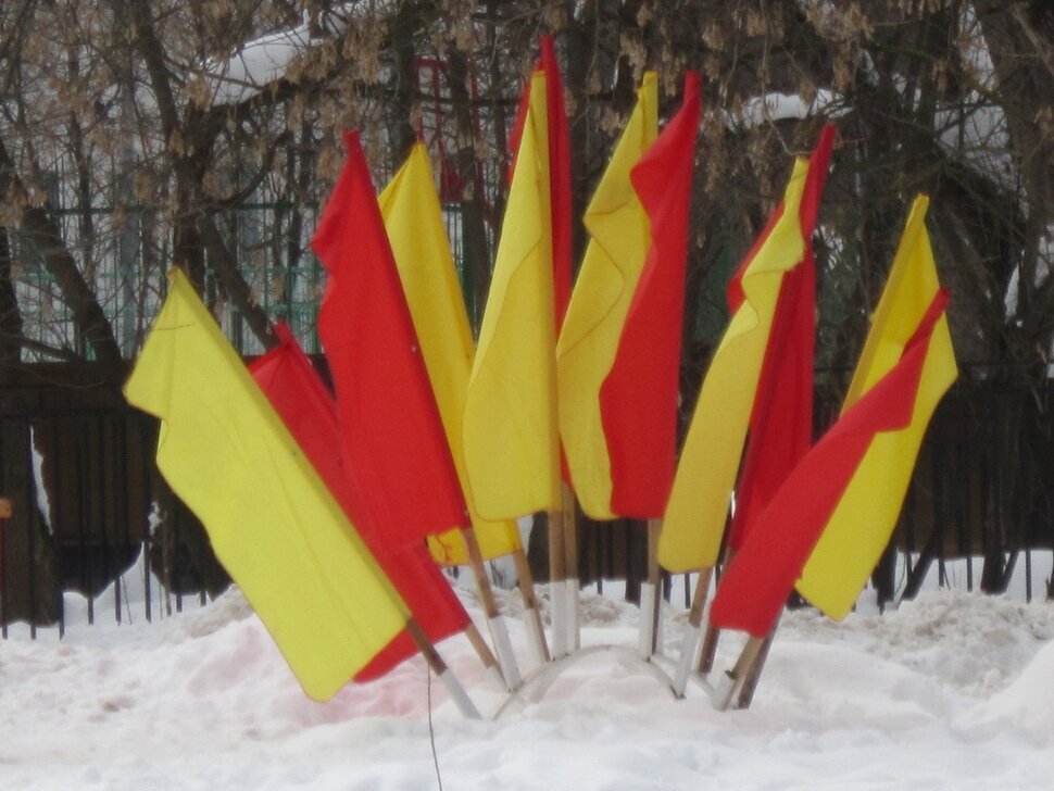 Флаги жёлтые и красные - Дмитрий Никитин