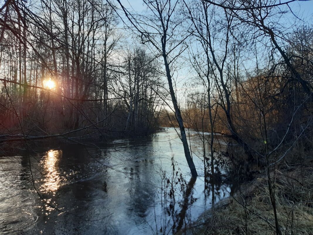 Sunset in Lithuania - silvestras gaiziunas gaiziunas
