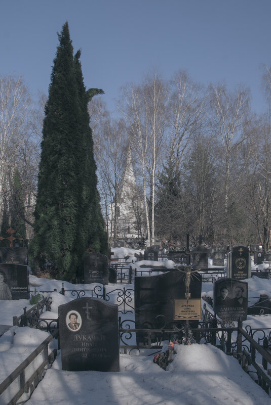 Кладбище людское - Яков Реймер