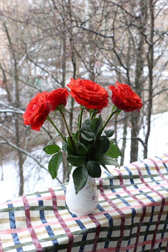 Розы на окне, март за окном и снег идёт с дождём - Надежд@ Шавенкова