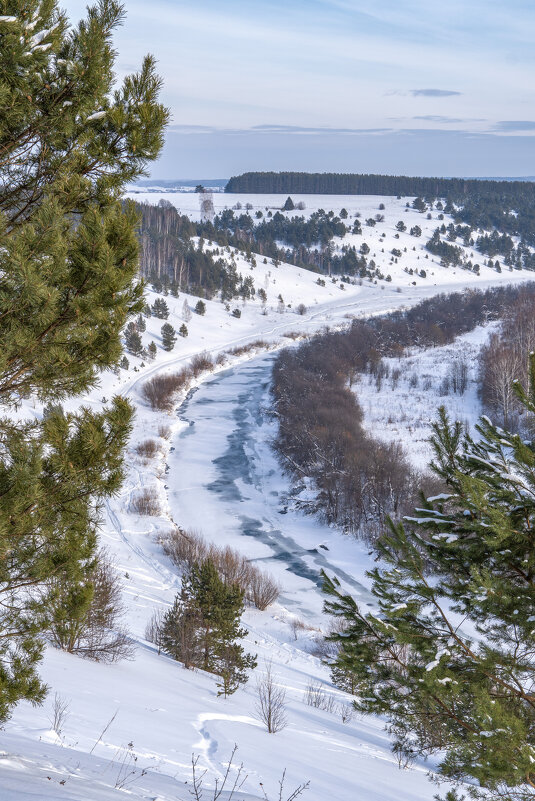 Река Шаква - Алексей Сметкин
