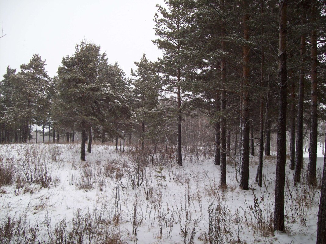 В городском парке - alemigun 