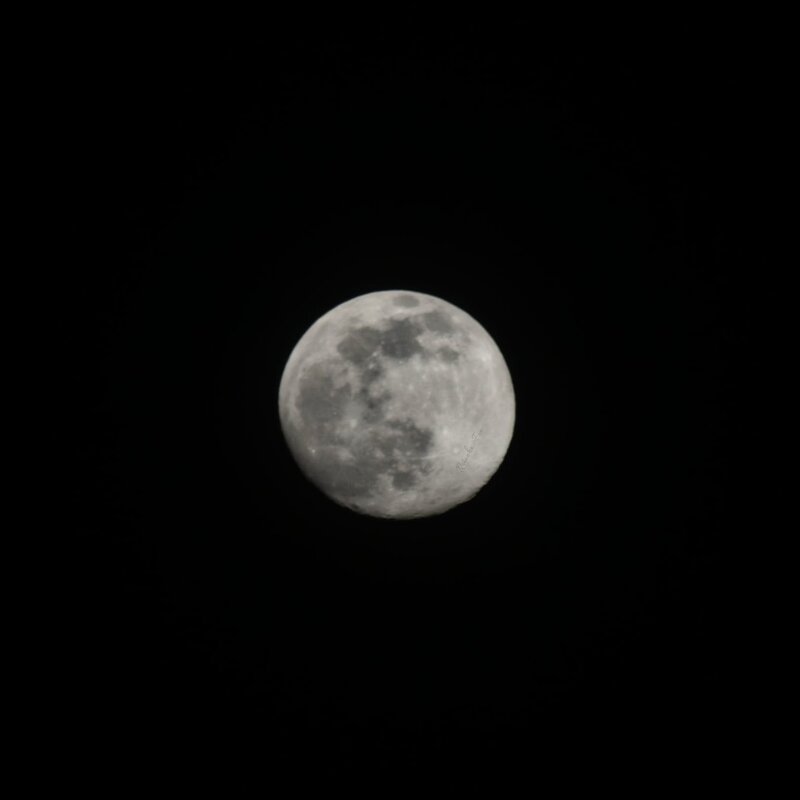 Почти полная луна - Катерина Шалеева (Reineke_Fox)