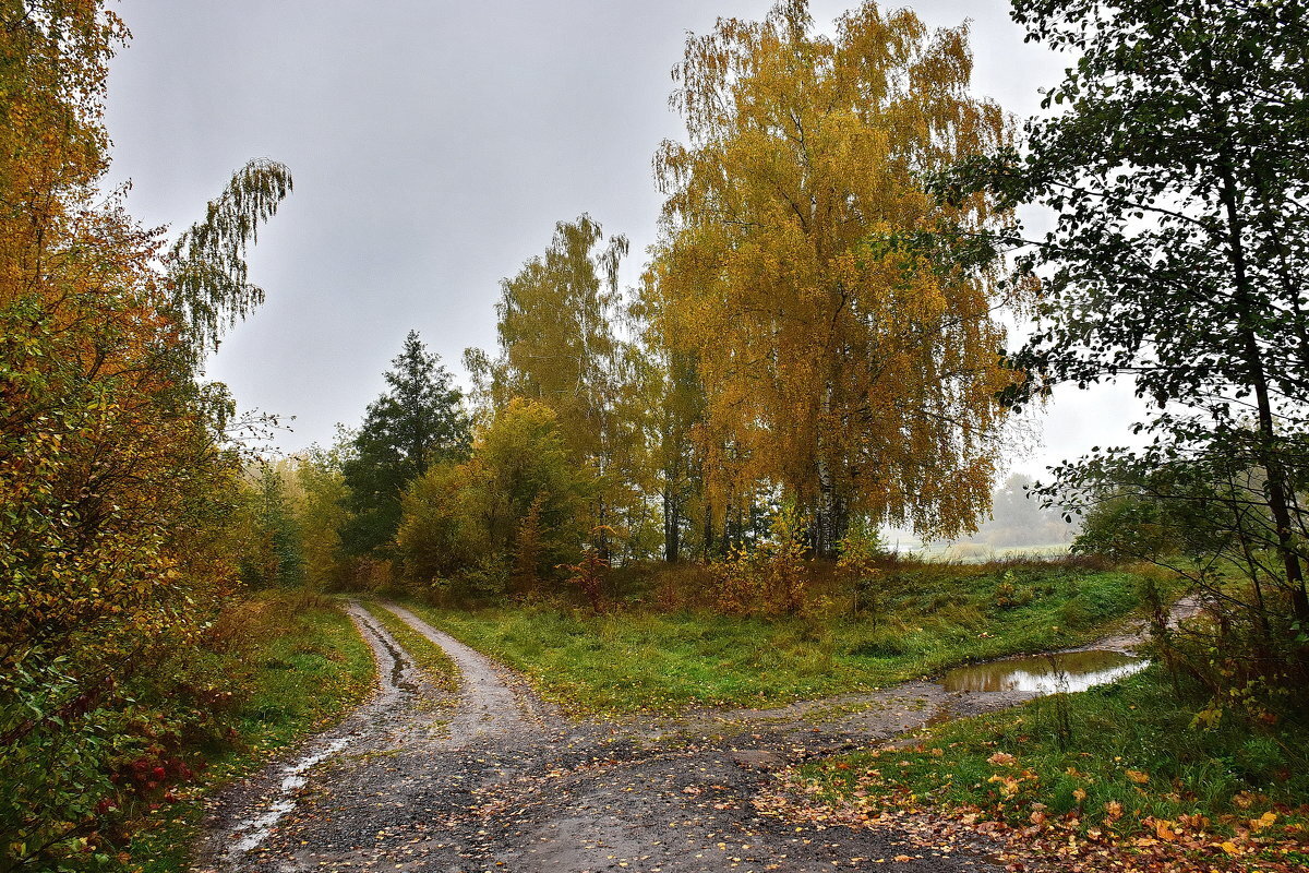 Осень. - Валера39 Василевский.