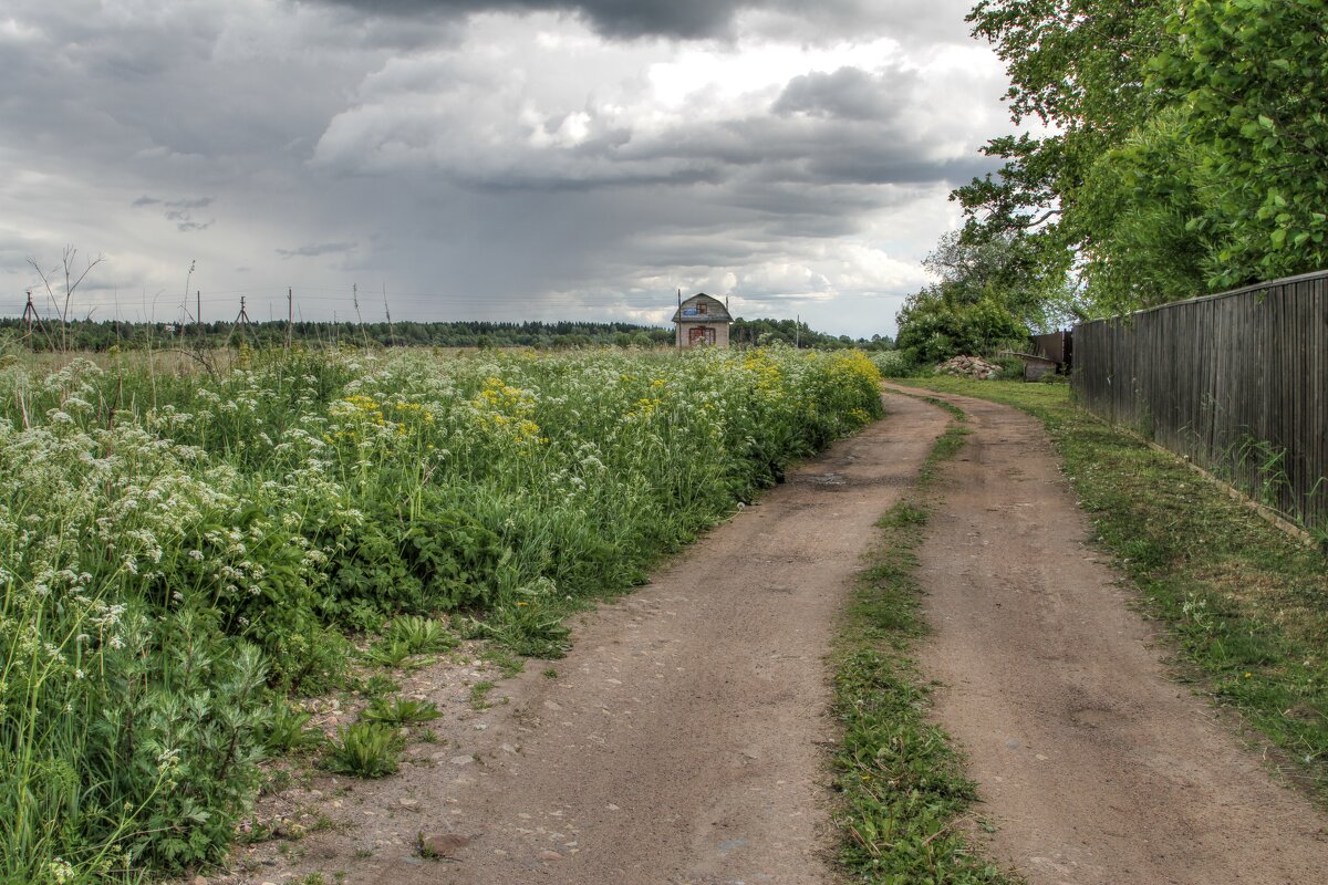 Деревня - Cергей Кочнев