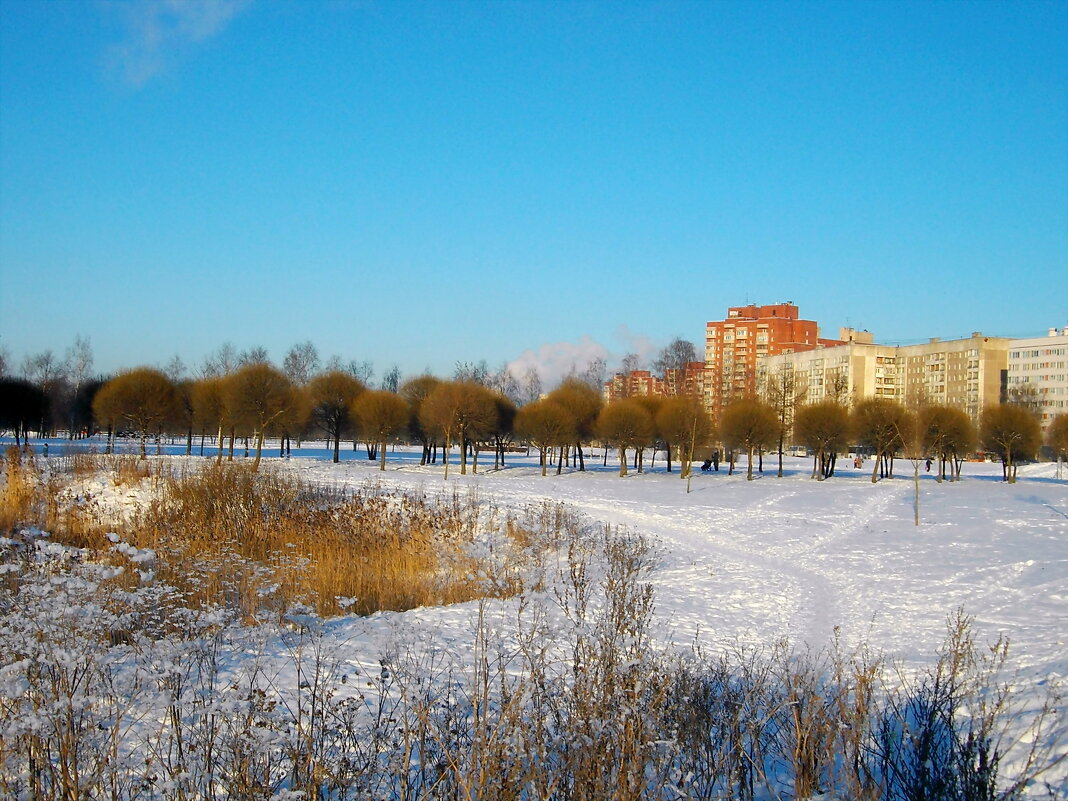 Городская периферия. - Лия ☼