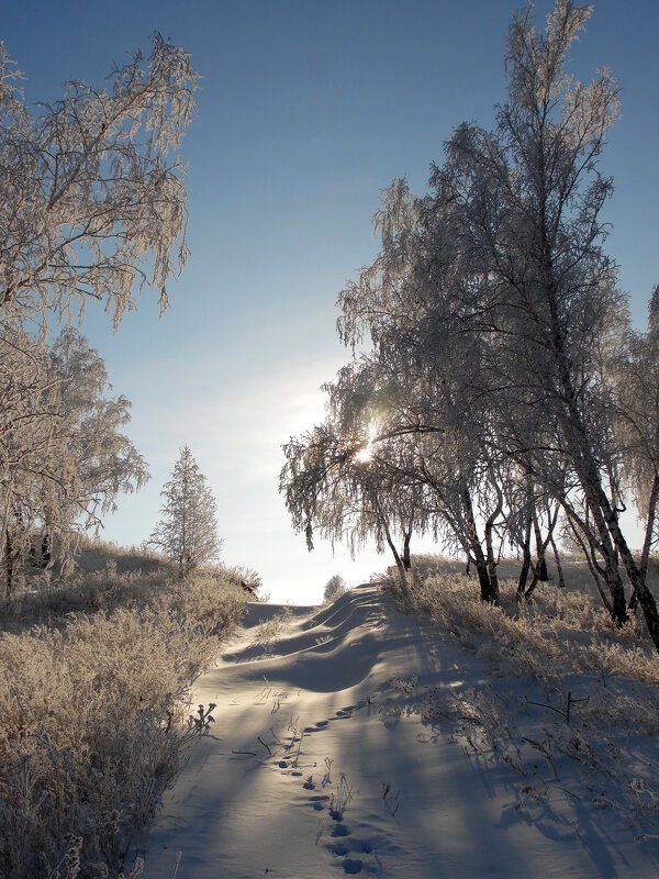 Замело совсем дорогу. - nadyasilyuk Вознюк