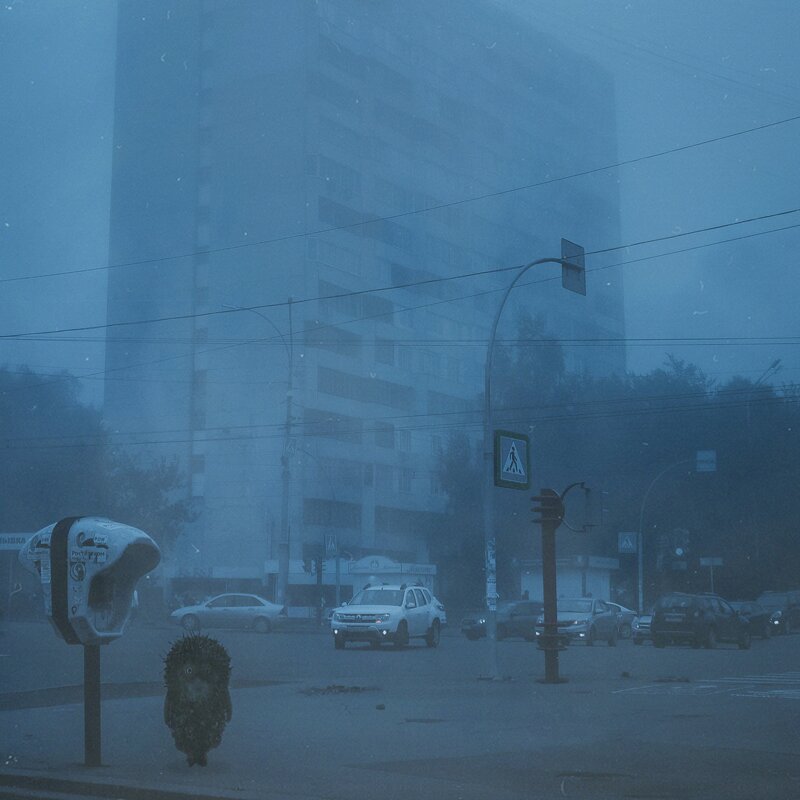 Ежик в тумане - Константин Савельев 