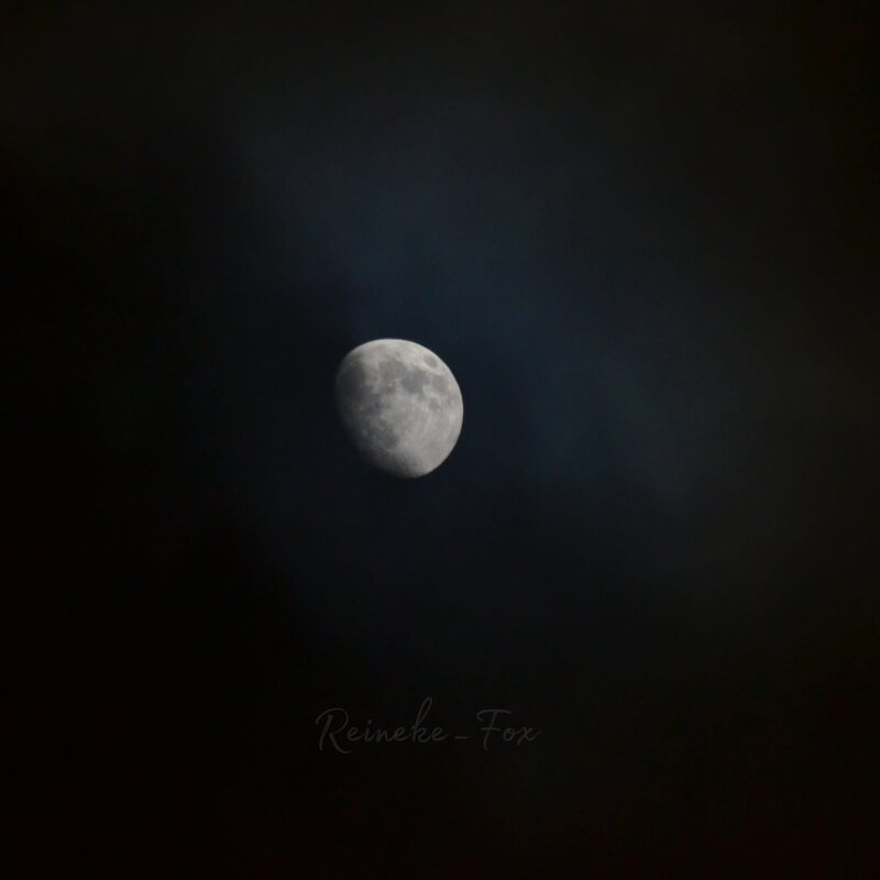 Луна - Катерина Шалеева (Reineke_Fox)