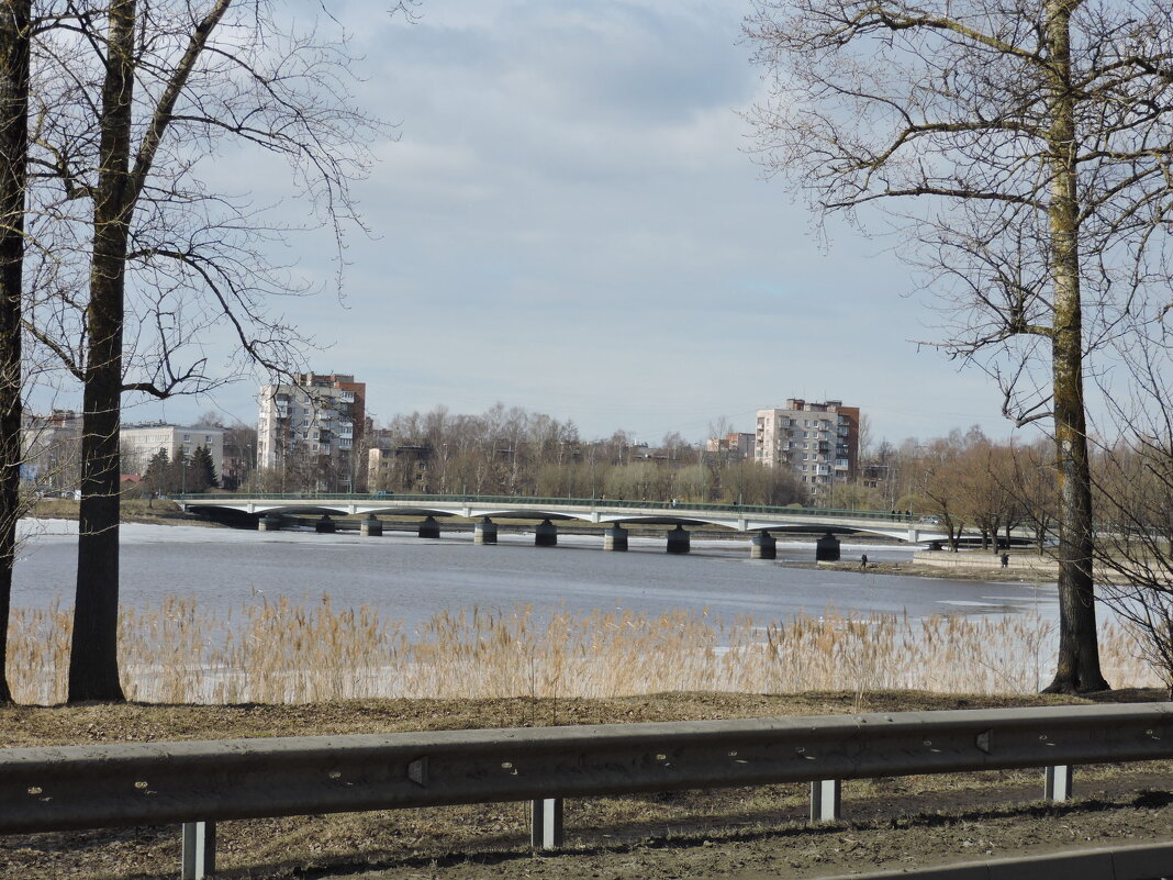 Река Ижора - Мария Васильева