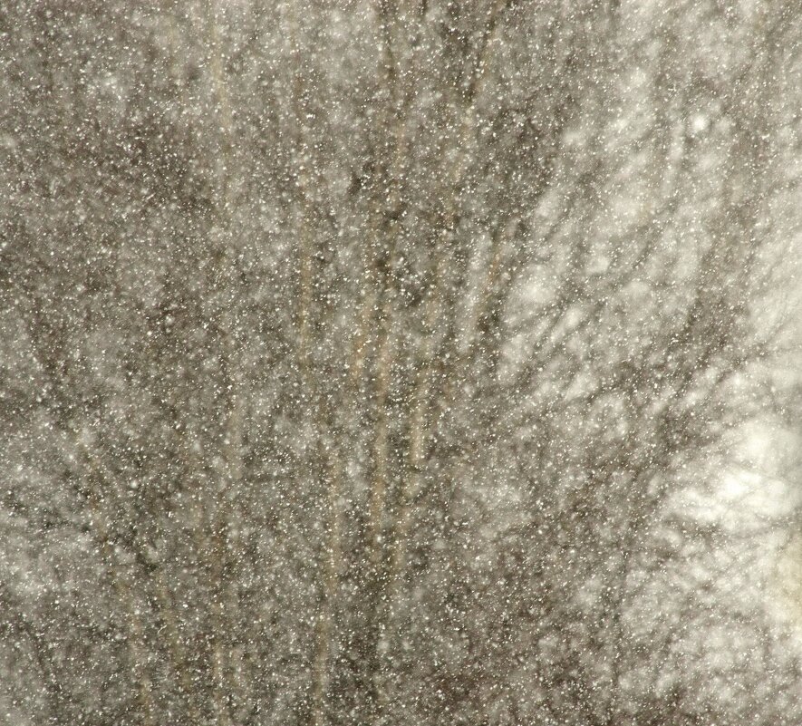 Снегопад в апреле... - Юрий Куликов