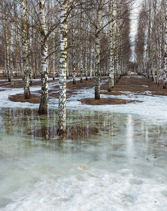 Апрель. - Владимир Безбородов