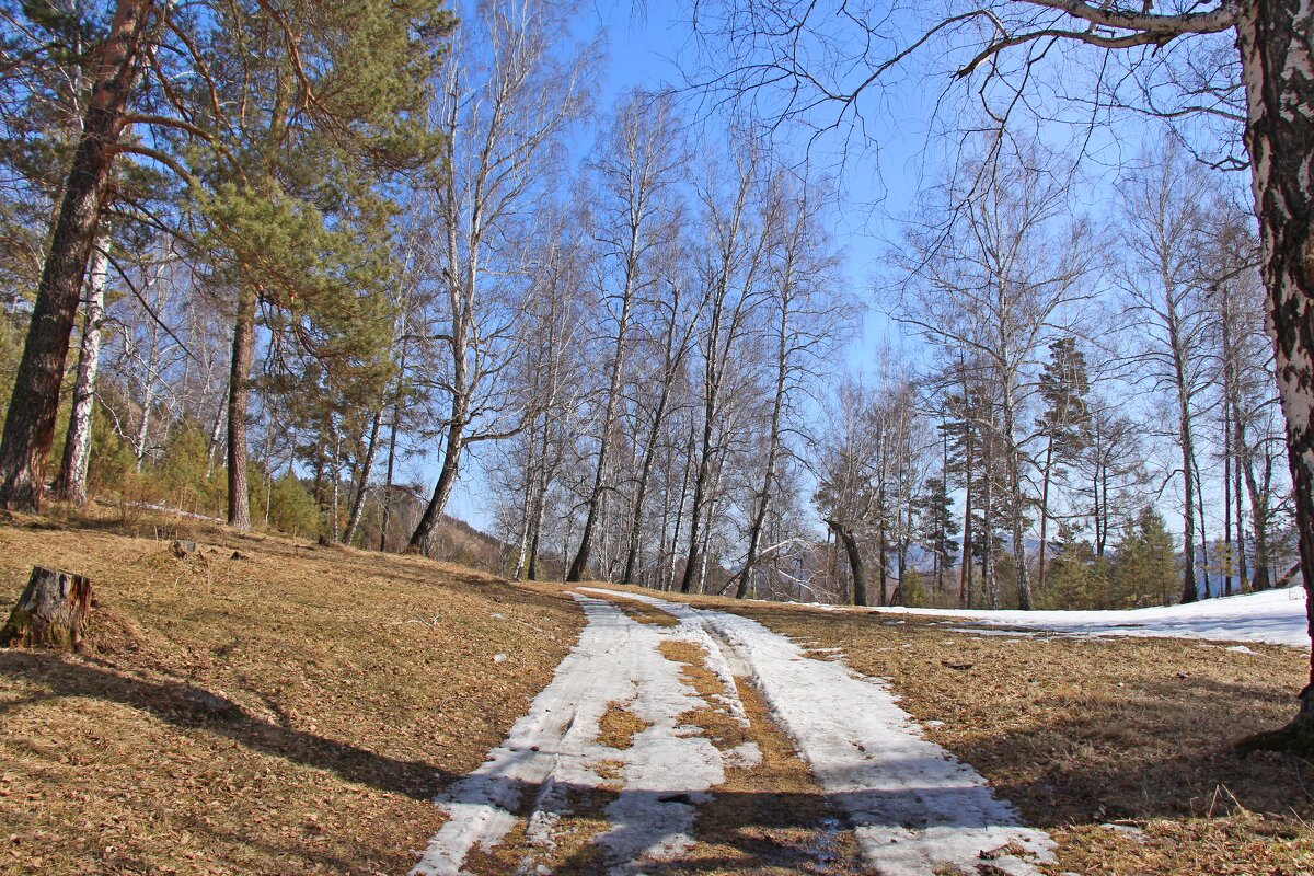 Весна в горах - Лариса 