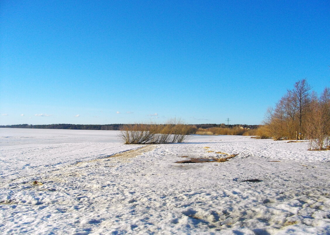 Холодная весна 2022 года. Берег Финского залива, пляж. - Лия ☼