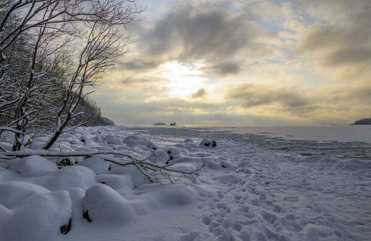 Пейзаж зимы - Андрей Бобин
