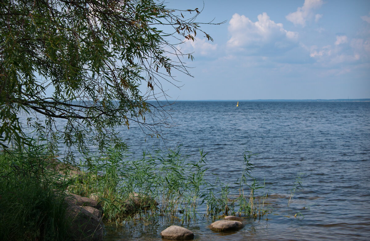 Озерная прохлада - lady v.ekaterina