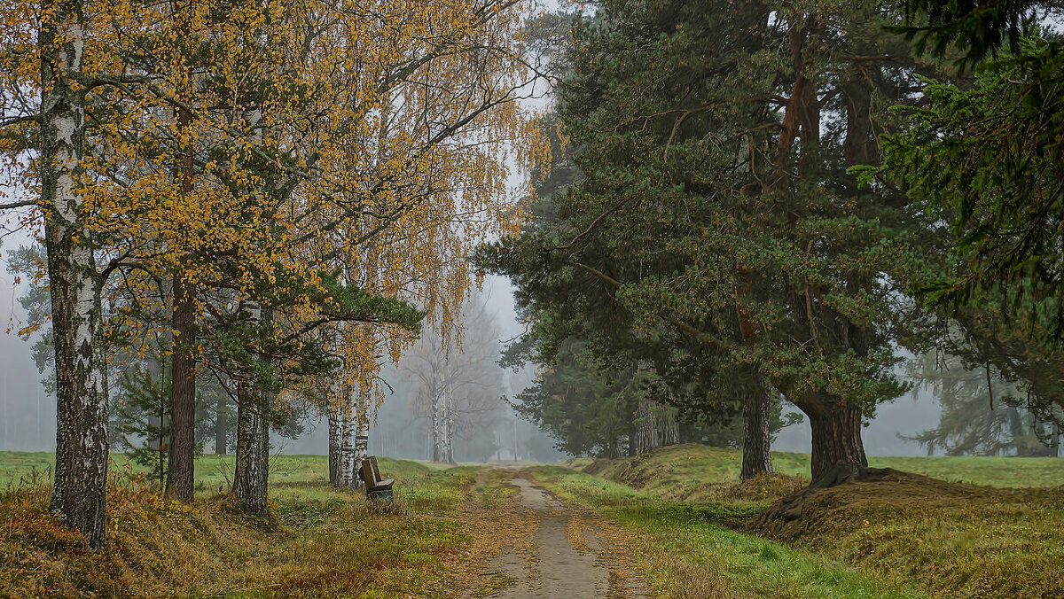 В осеннем парке. - Елена 