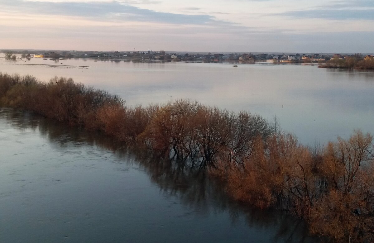 Река Ока 23 апреля - Galina Solovova