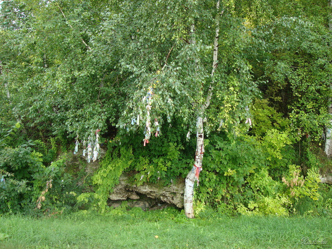 Дерево Желаний - Raduzka (Надежда Веркина)