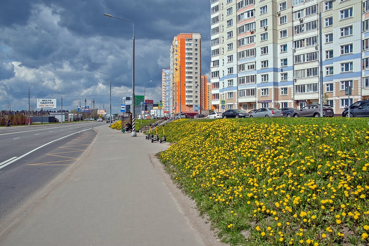 Одуваны в городе - Валерий Иванович