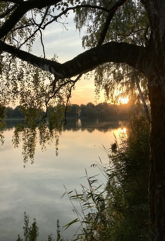 Рассвет на озере - Pippa 