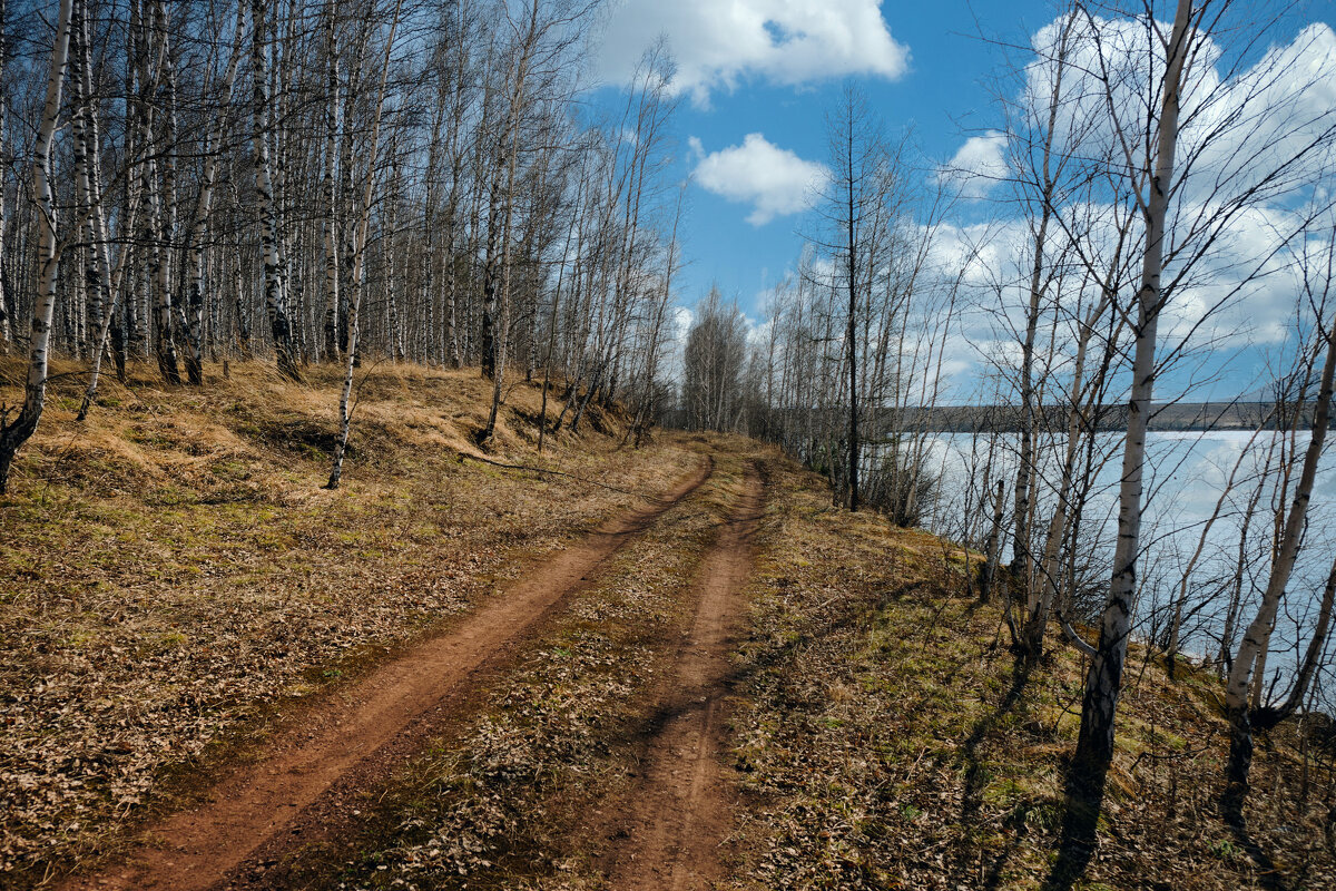 *** - Алексей Мезенцев