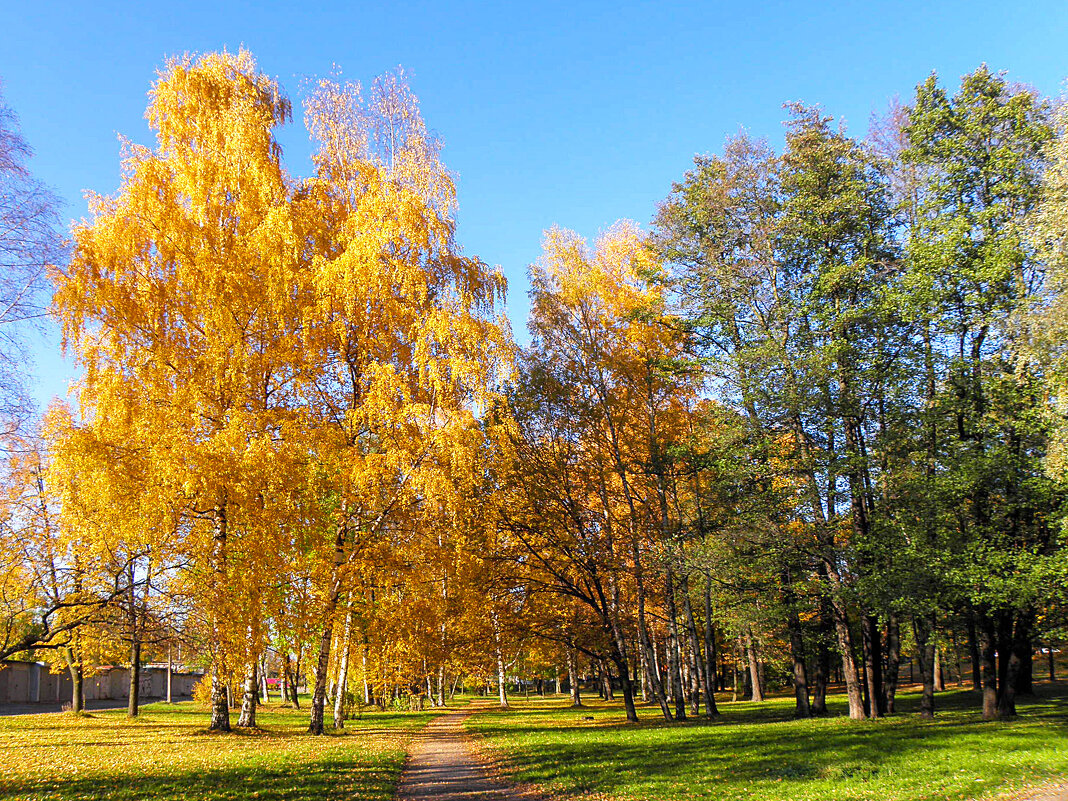 Осенний пейзаж - Любовь Зинченко 