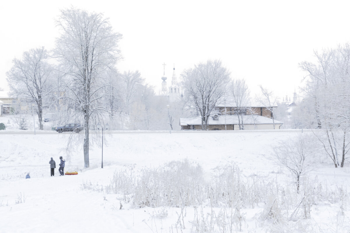 Зима в Русском городке - Moscow.Salnikov Сальников Сергей Георгиевич