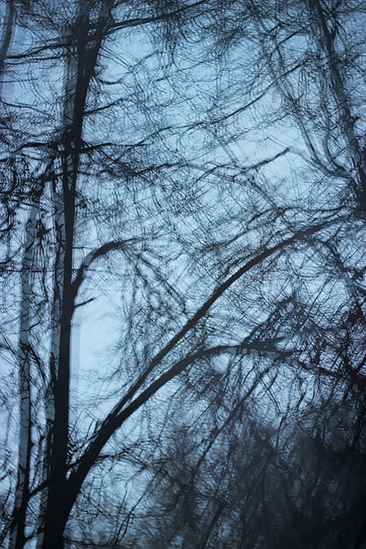 Reflection - Olga Kaynova