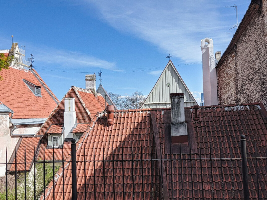 Крыши старого Таллинна - Alex 