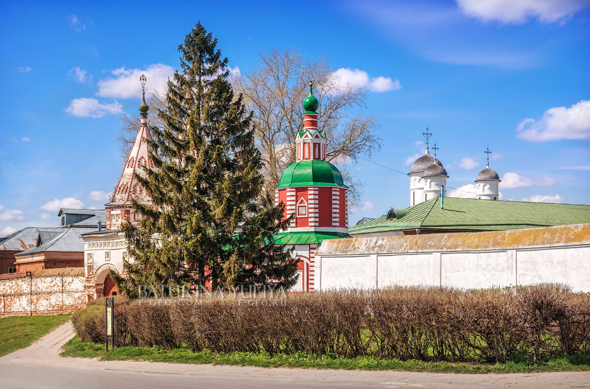 Ризоположенский монастырь, Суздаль - Юлия Батурина