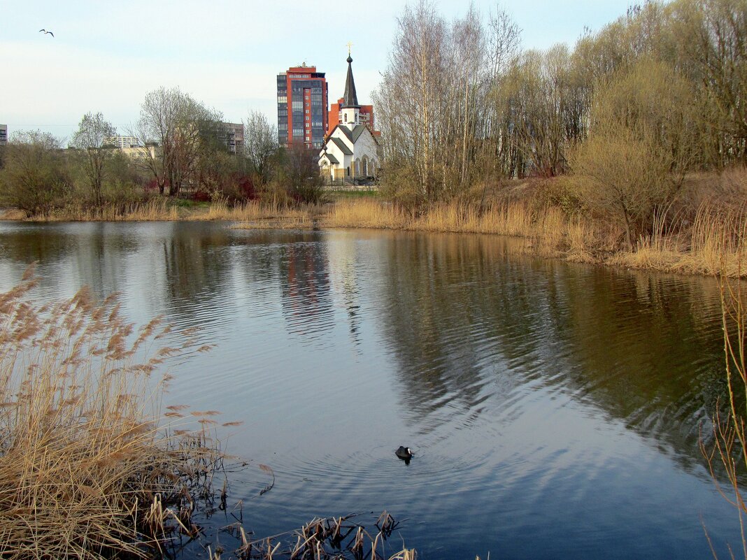 Пулковский парк - dli1953 