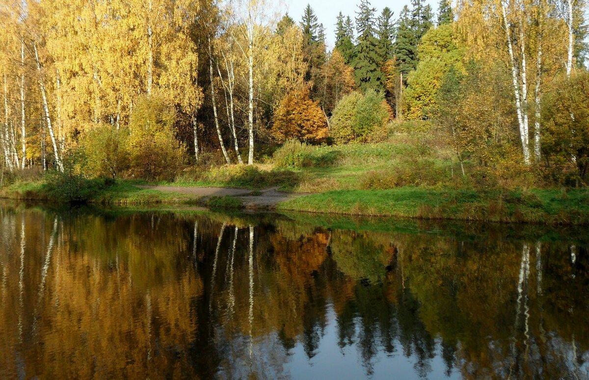 Шуваловский парк осенью пруды