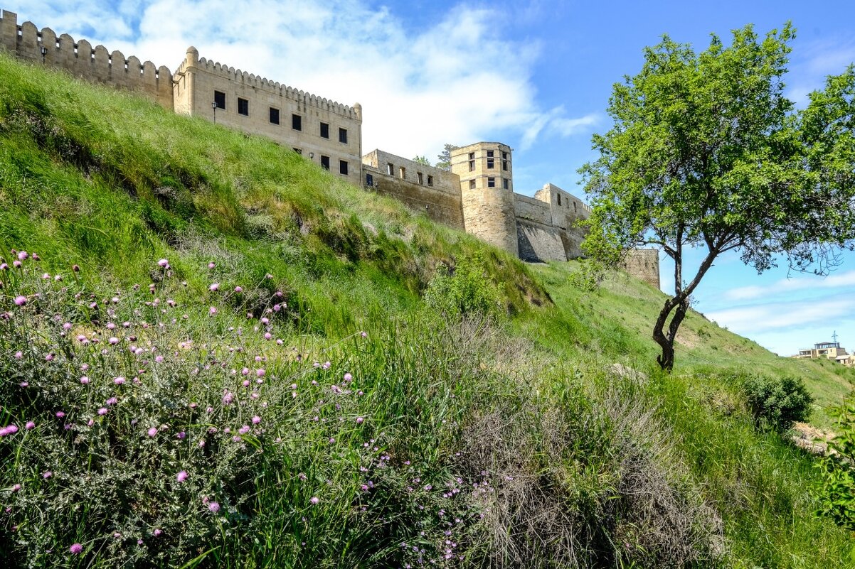 стена крепости г. Дербент (4) - Георгий А