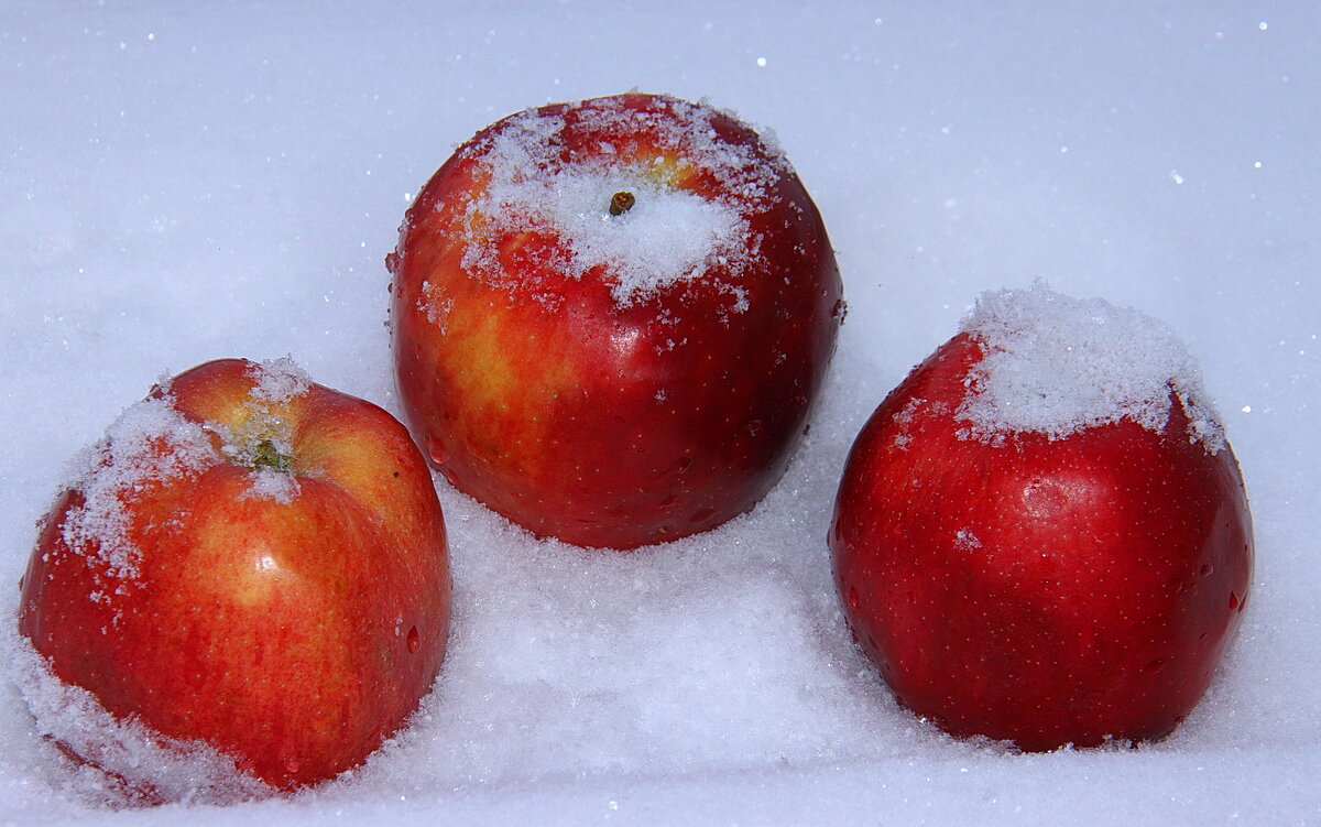 Яблоки на снегу - Штрек Надежда 
