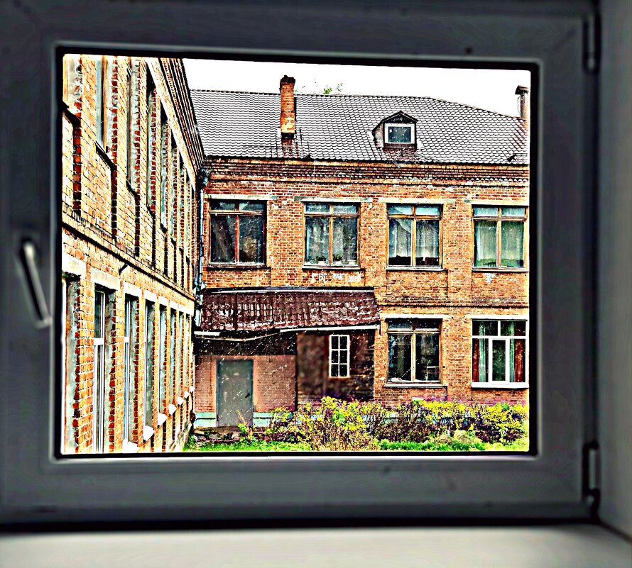 новые окна старой школы - Любовь 