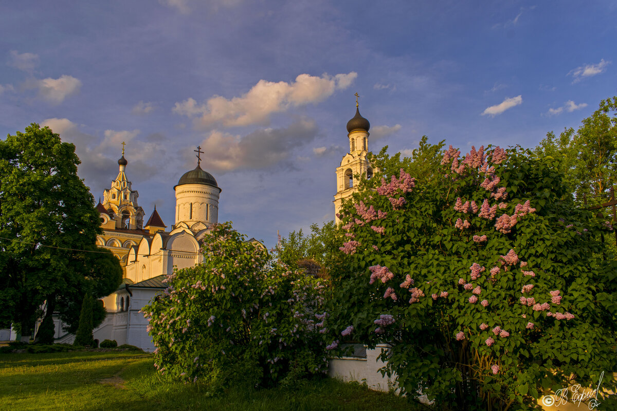 Свято-Благовещенский  монастырь - Владимир Ефимов