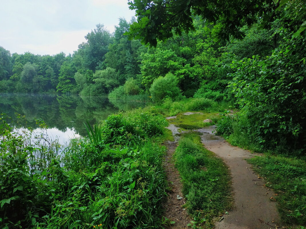 Собачий пруд - самый красивый в Измайловском парке - Андрей Лукьянов