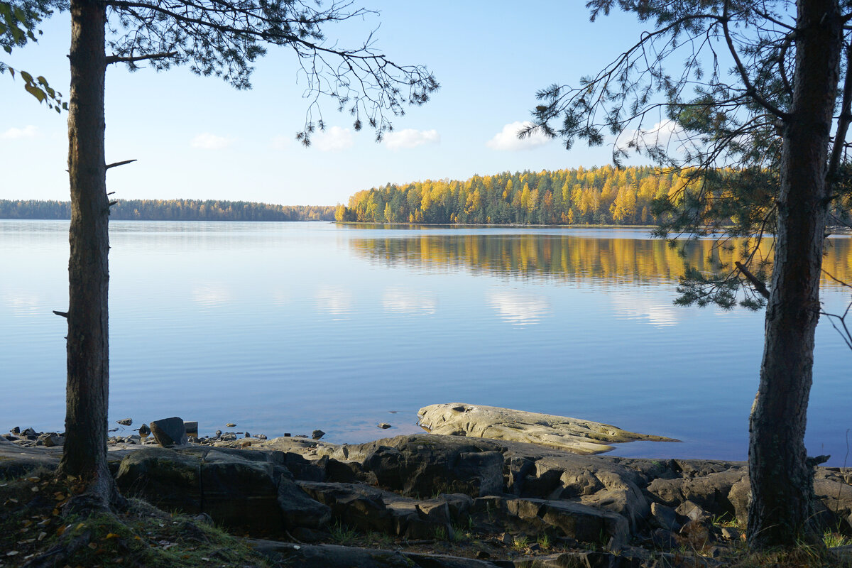 Вид на Гирвасское водохранилище - Анастасия Софронова