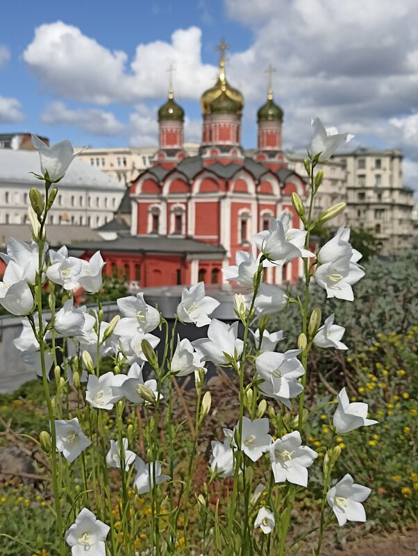 В Зарядье - Татьяна Тюменка