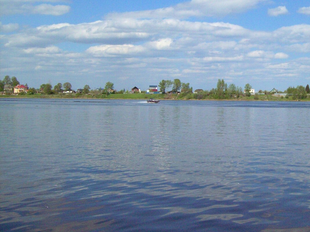 Нева в районе Усть-Ижоры - alemigun 