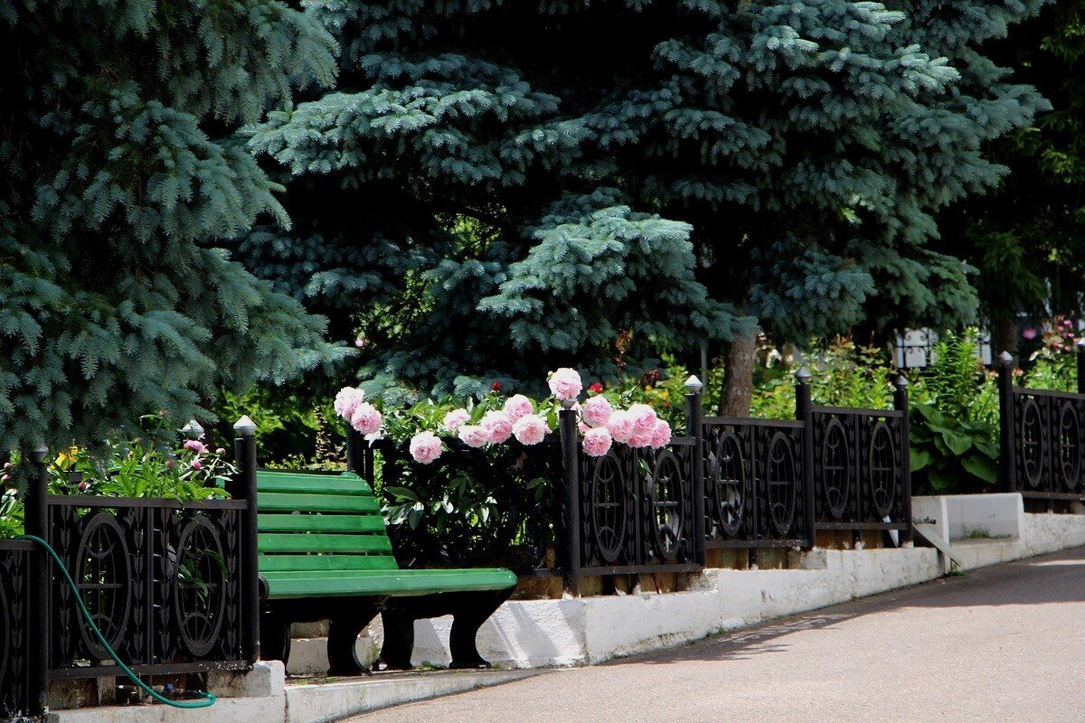 На территории Курского Сергиево-Казанского кафедрального собора - Надежд@ Шавенкова