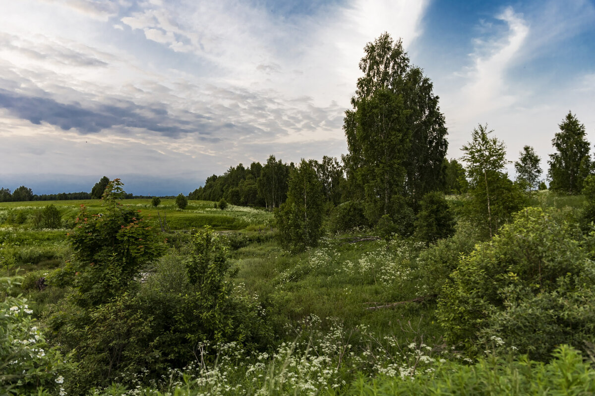 Июнь - Александр 