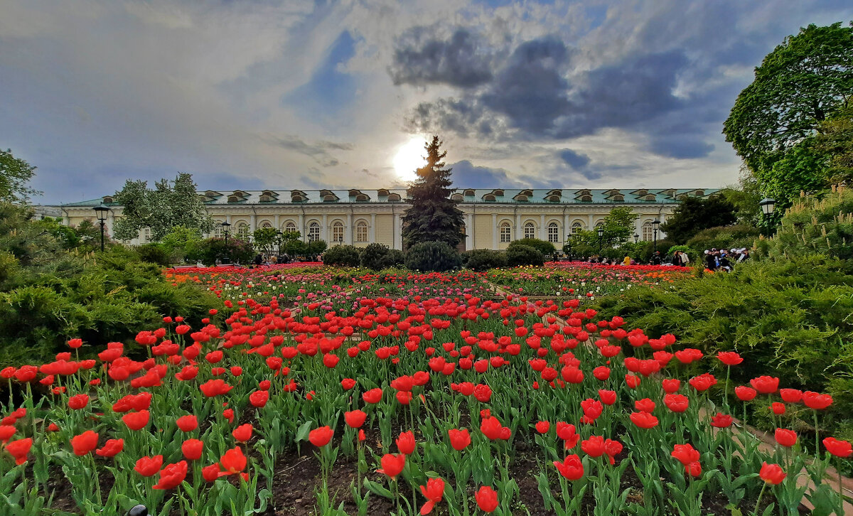 Москва весенняя - Елена Кирьянова