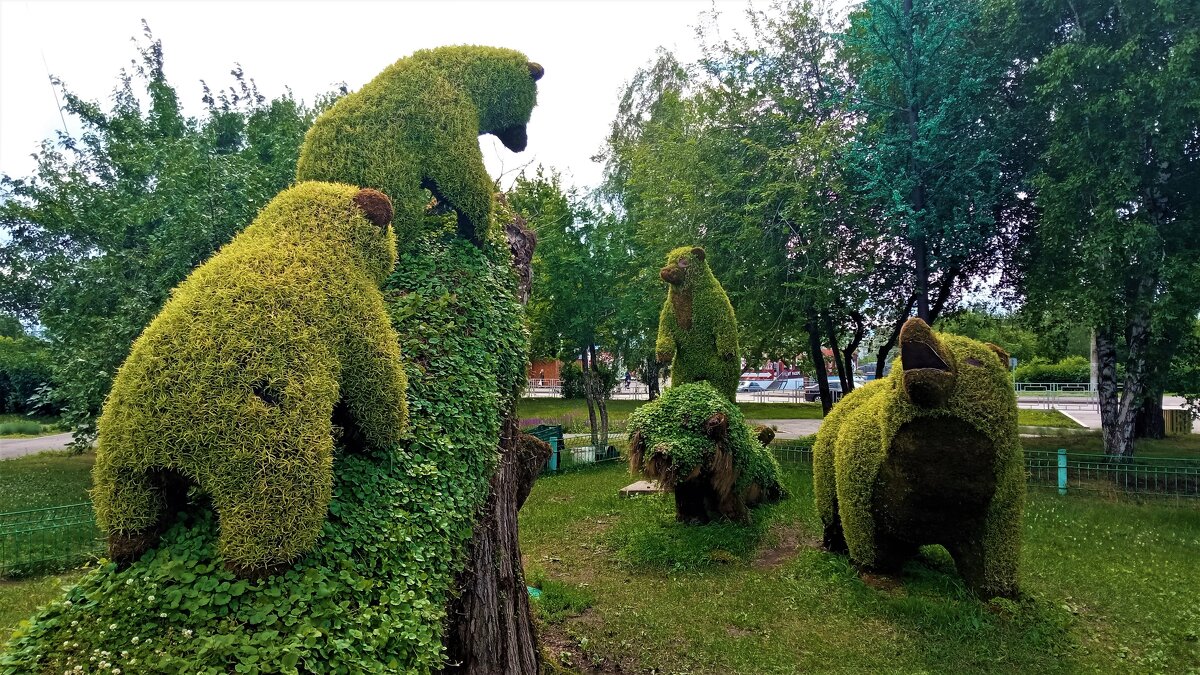 Красноярские медведи.. - Василий 