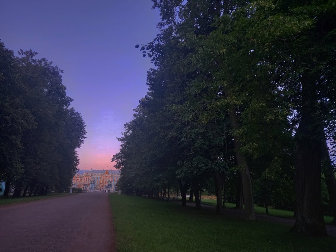 Закат в Александровском парке - Сапсан 