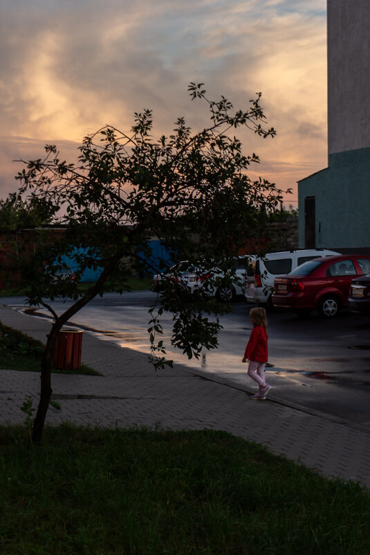 Девочка в красном платье (Белгородское лето) - Victor Nikonenko