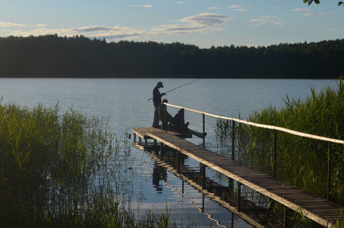 Деревня Кочевицы, вечером на озере...июль 2022... - Владимир Павлов