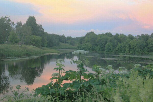 Летний вечер на реке Тихвинка - Сергей Кочнев